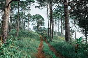 BIB: 
                            <button type="button" onclick="openModal(25652311)" class="btn btn-primary btn-sm float-right btn-popup" data-toggle="modal" data-target=".modal-high-quality">
                        <i class="fas fa-shopping-cart"></i> Add to Cart
                    </button>
                                            <button type="button" onclick="isThisMe(25652311, true)" class="btn btn-success btn-sm float-right btn-popup btn-isme hidden" data-toggle="tooltip" data-placement="bottom" title="นี่คือรูปของคุณใช่ไหม คลิกที่นี่เพื่อเอาเข้าอัลบั้ม">
                        <i class="fas fa-plus"></i> Add to album
                    </button>
                    <button type="button" onclick="isThisMe(25652311, false)" class="btn btn-warning btn-sm float-right btn-popup btn-isnotme hidden">
                        <i class="fas fa-ban"></i> Remove from album
                    </button>